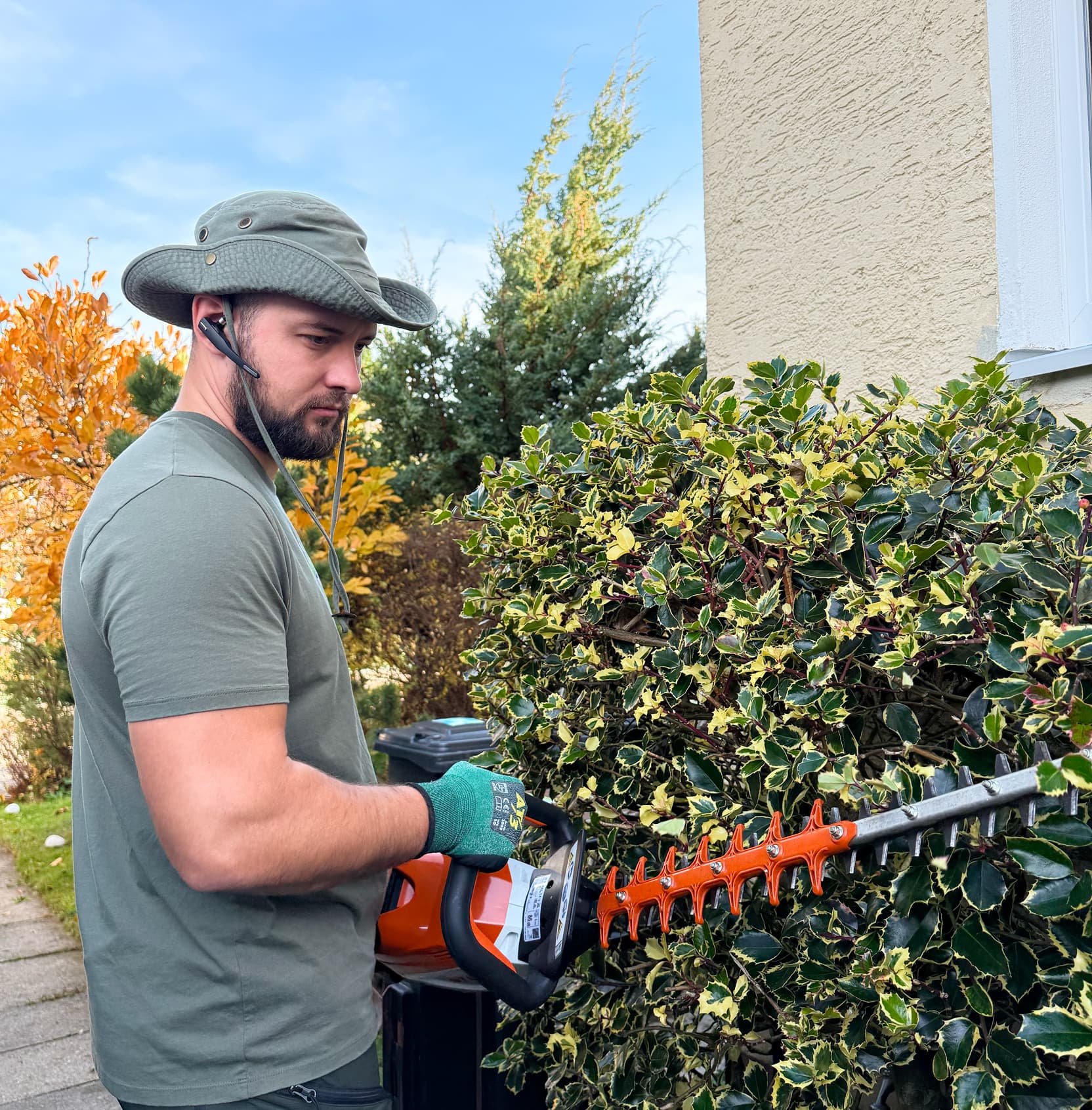 Professioneller Heckenschnitt: Mitarbeiter schneidet eine Hecke mit einem Heckenschneider.